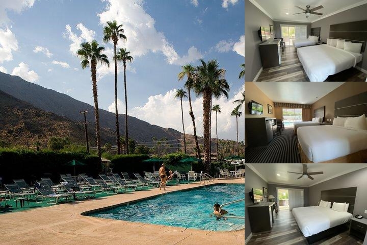 Royal Sun Palm Springs photo collage