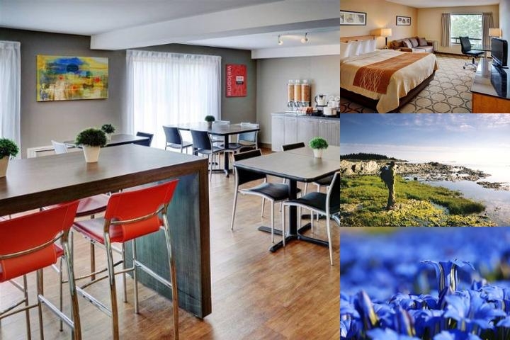 Comfort Inn Rimouski photo collage