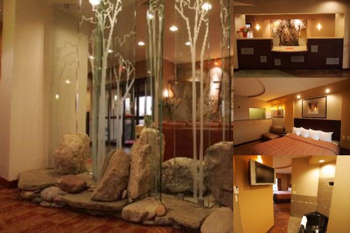 Comfort Suites Perrysburg - Toledo South photo collage