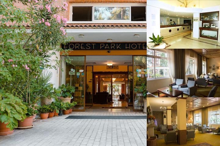Forest Park Hotel photo collage