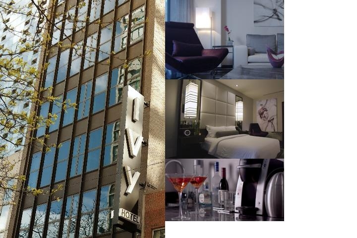 Ivy Boutique Hotel photo collage