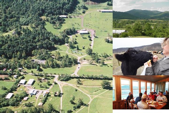 Graves Mountain Farm & Lodges photo collage