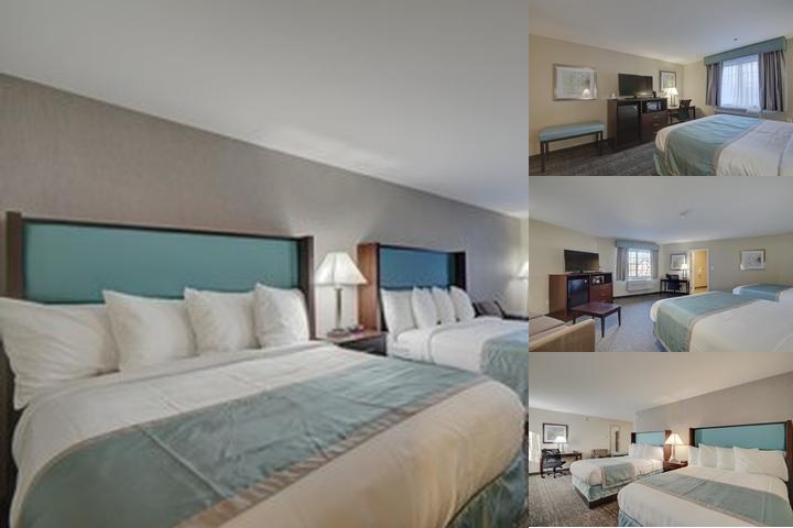 Best Western Hampshire Inn & Suites photo collage