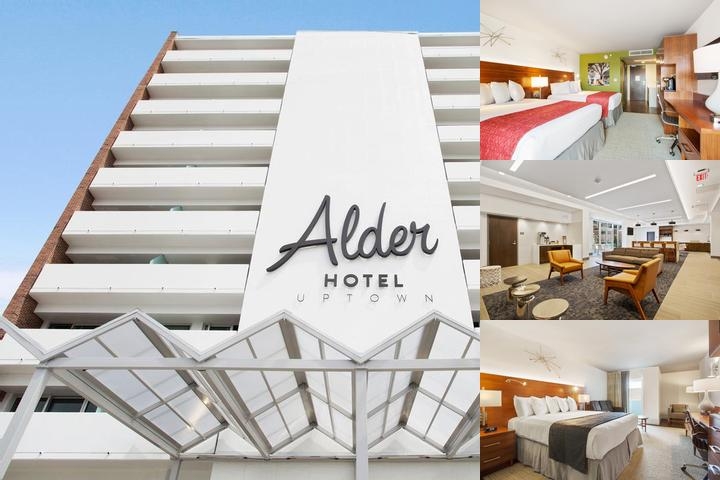 Alder Hotel Uptown New Orleans photo collage