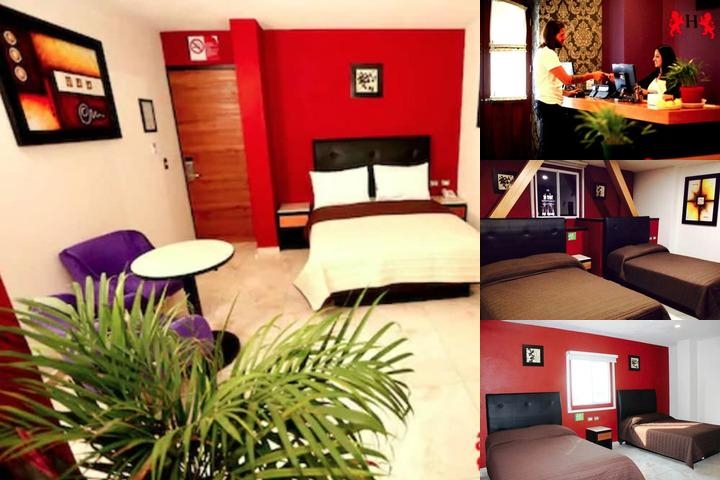 Hotel Leones photo collage