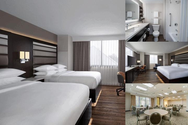 Best Western Premier Jacksonville Hotel photo collage