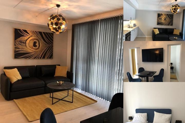 Norwegian Luxury City Apartment photo collage