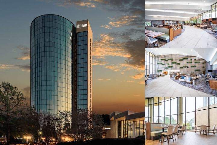 Hilton Memphis photo collage