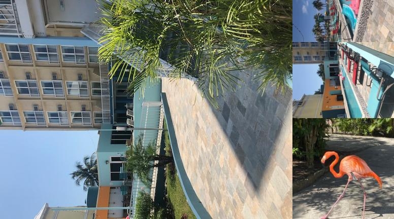 Holiday Inn Express & Suites Nassau, an IHG Hotel photo collage