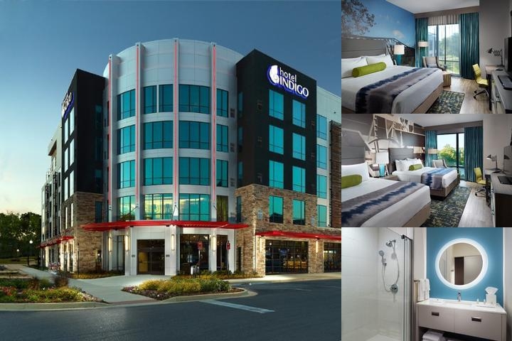 Hotel Indigo Tuscaloosa Downtown photo collage