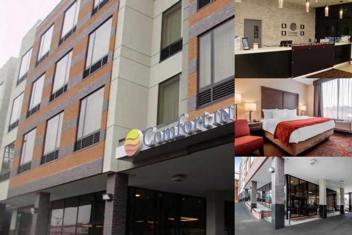 Comfort Inn & Suites near Stadium photo collage