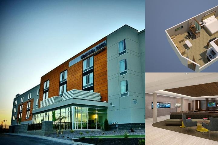 Springhill Suites by Marriott Amarillo photo collage