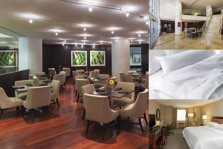 Sheraton Metairie - New Orleans Hotel photo collage