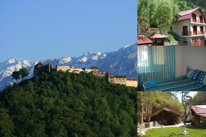 Valea Cetatii photo collage