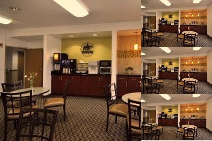 Best Western Roanoke Inn & Suites photo collage