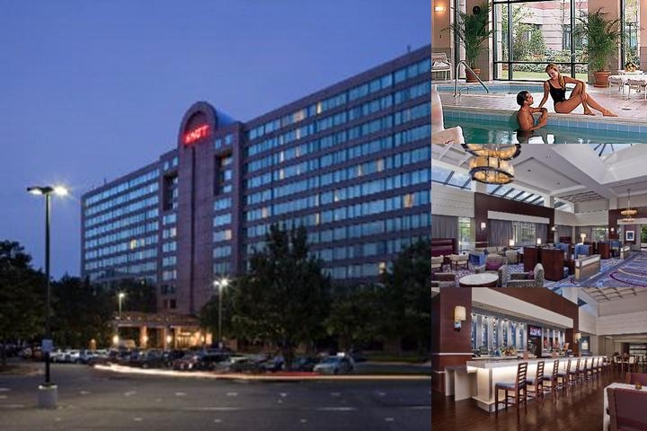 Hilton Fairfax photo collage
