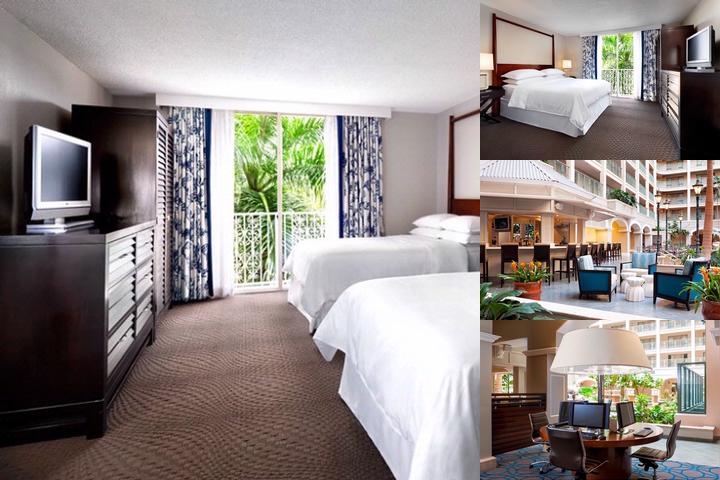 Sheraton Suites Fort Lauderdale at Cypress Creek photo collage
