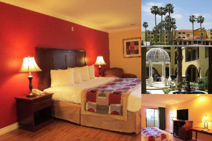 Best Western Moreno Hotel & Suites photo collage