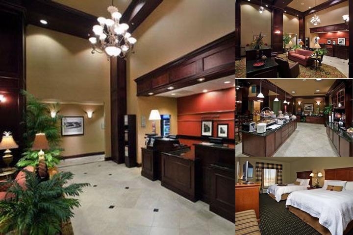 Hampton Inn & Suites Jackson photo collage