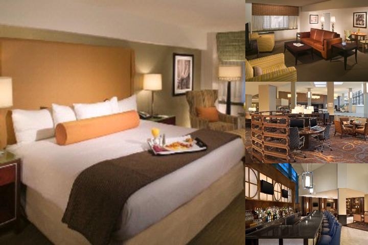 The Stamford Hotel photo collage