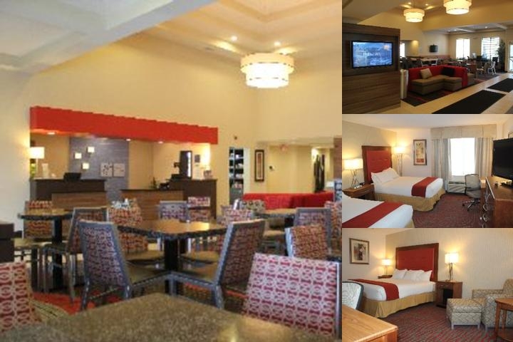 Holiday Inn Express Boston - Milford, an IHG Hotel photo collage