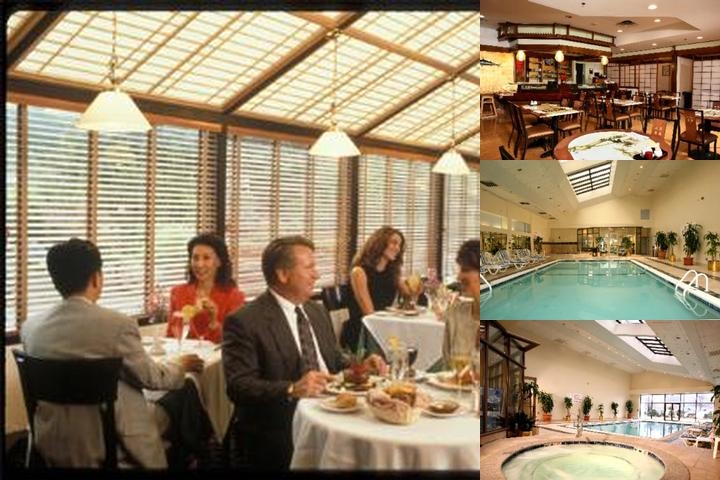Doubletree by Hilton Fort Lee Gwb photo collage
