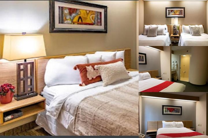 5 Starz Hotel photo collage