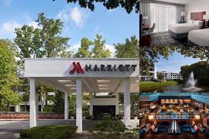Marriott Park Ridge photo collage