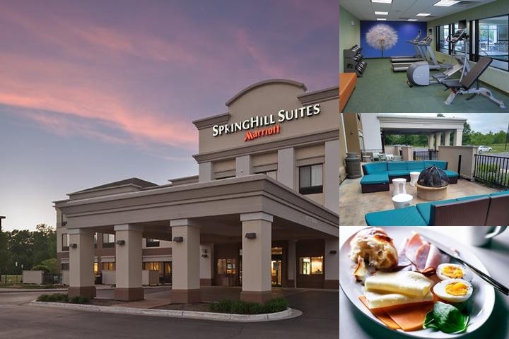 Springhill Suites Lansing West photo collage