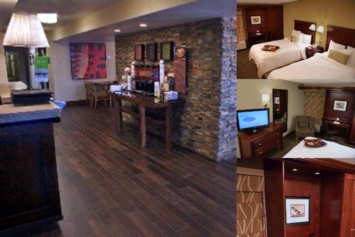 The Addison Hotel, SureStay Collection by Best Western photo collage