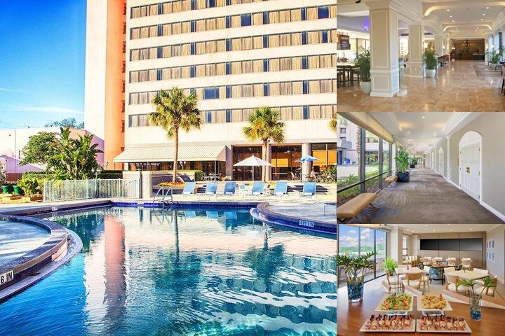 Hilton Ocala photo collage