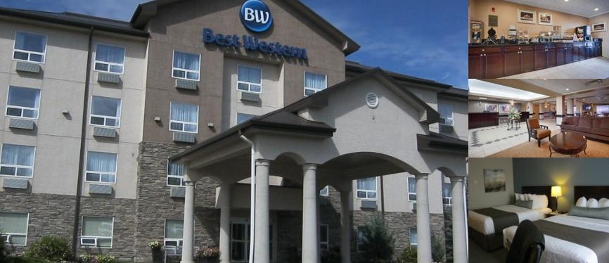Best Western Rocky Mountain House Inn & Suites photo collage