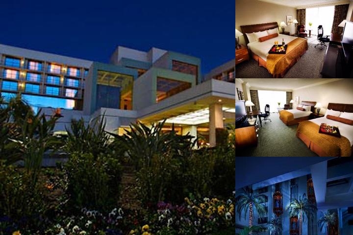 Hilton Costa Mesa photo collage