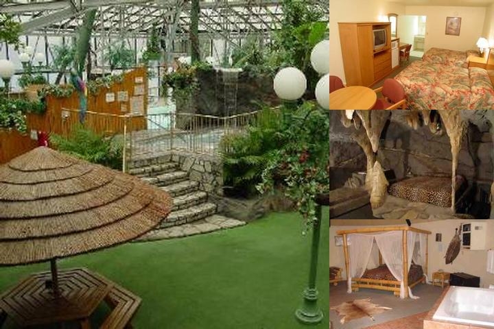 Wildwood Inn Tropical Dome & Theme Suites photo collage