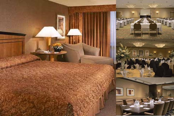 The Radisson Hotel Central photo collage