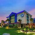 Image of Best Western Corpus Christi Airport Hotel