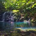 Image of Bocawina Rainforest Resort & Adventures