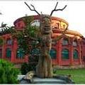 Image of Coraltree by Goldfinch Hotels Bangalore
