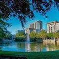 Image of Dallas/Plano Marriott at Legacy Town Center