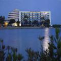 Image of Doubletree by Hilton Tampa Rocky Point Waterfront