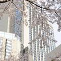 Image of Grand Hyatt Tokyo