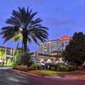 Image of Hilton Garden Inn Lake Buena Vista/Orlando