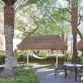 Image of Hilton Vacation Club Cancun Resort Las Vegas