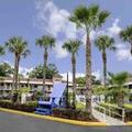 Image of Hotel South Tampa & Suites