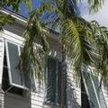 Image of Paradise Inn Key West - Adults Only