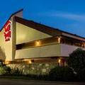 Image of Red Roof Inn Chicago-O'Hare Airport/ Arlington Hts