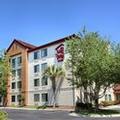 Image of Red Roof Inn PLUS+ Gainesville