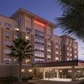Image of Sheraton Jacksonville Hotel