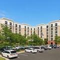 Exterior of Springhill Suites Dulles Airport