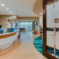 Exterior of Springhill Suites by Marriott Orlando Altamonte Springs